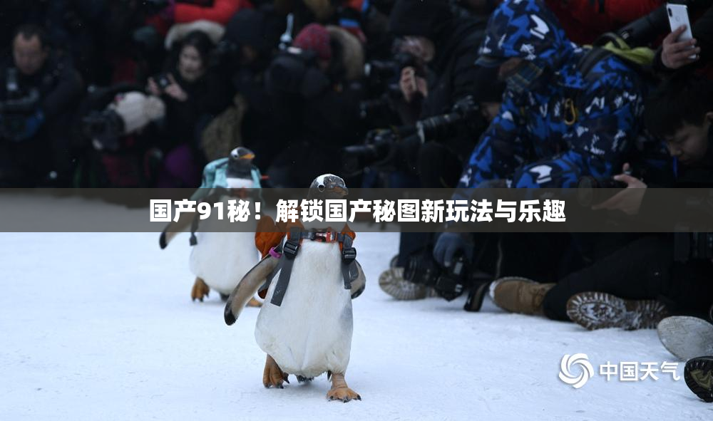 国产91秘！解锁国产秘图新玩法与乐趣