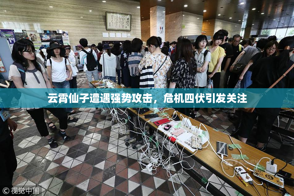 云霄仙子遭遇强势攻击，危机四伏引发关注
