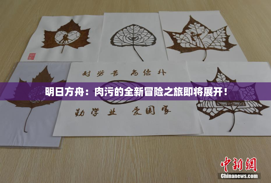 明日方舟：肉污的全新冒险之旅即将展开！