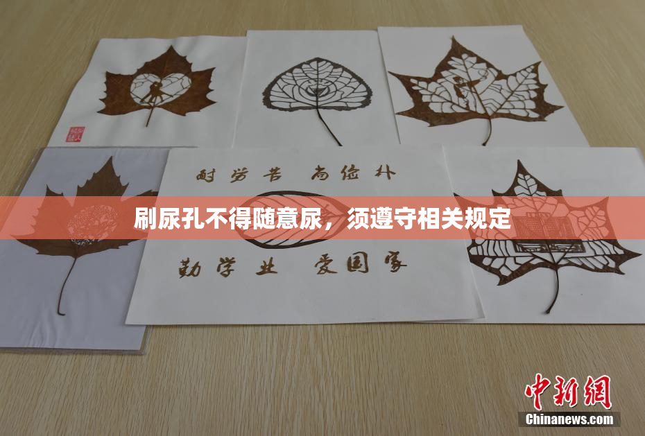 刷尿孔不得随意尿，须遵守相关规定