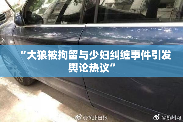 “大狼被拘留与少妇纠缠事件引发舆论热议”