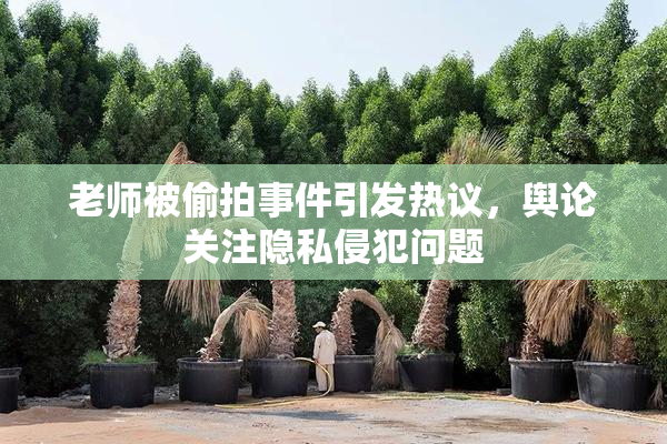 老师被偷拍事件引发热议，舆论关注隐私侵犯问题