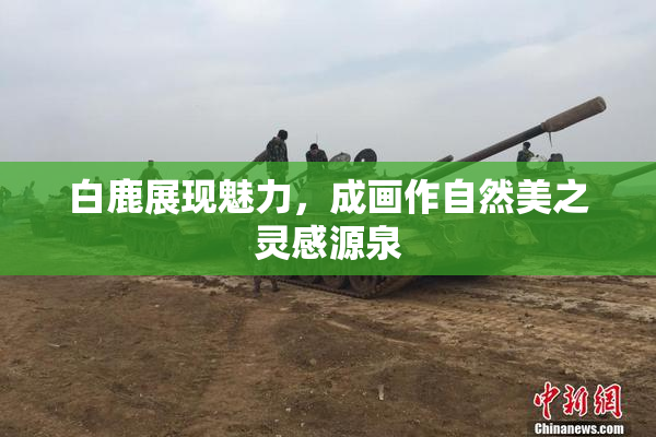 白鹿展现魅力，成画作自然美之灵感源泉