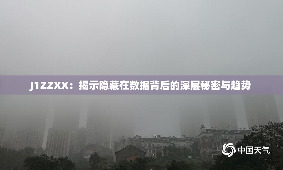 J1ZZXX：揭示隐藏在数据背后的深层秘密与趋势