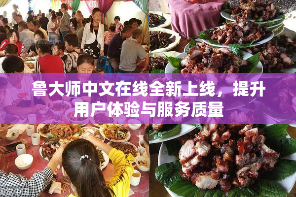 鲁大师中文在线全新上线，提升用户体验与服务质量