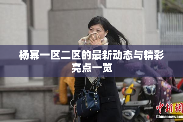 杨幂一区二区的最新动态与精彩亮点一览