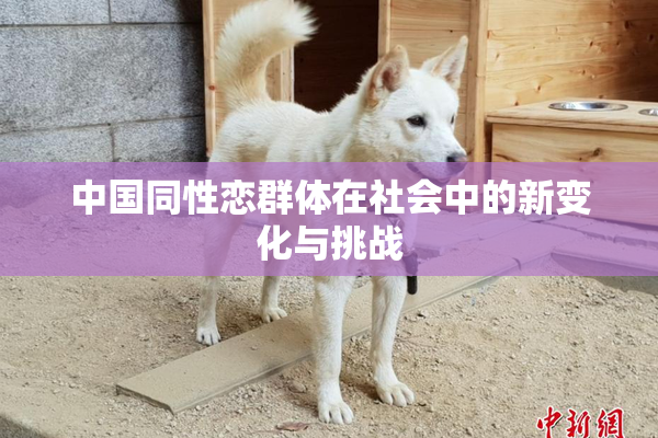中国同性恋群体在社会中的新变化与挑战