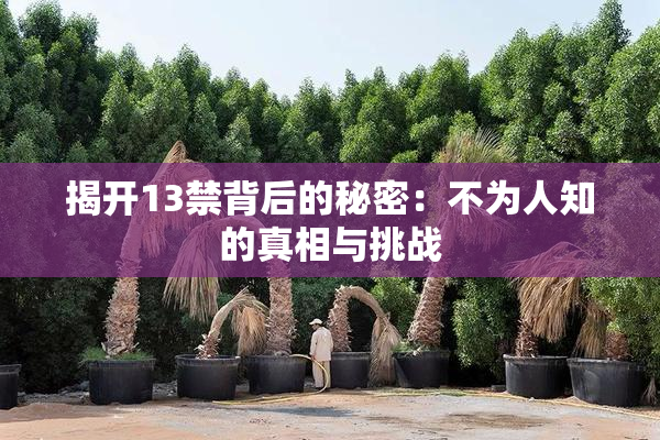 揭开13禁背后的秘密：不为人知的真相与挑战