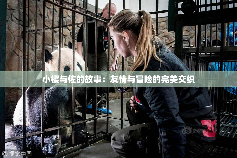 小樱与佐的故事：友情与冒险的完美交织