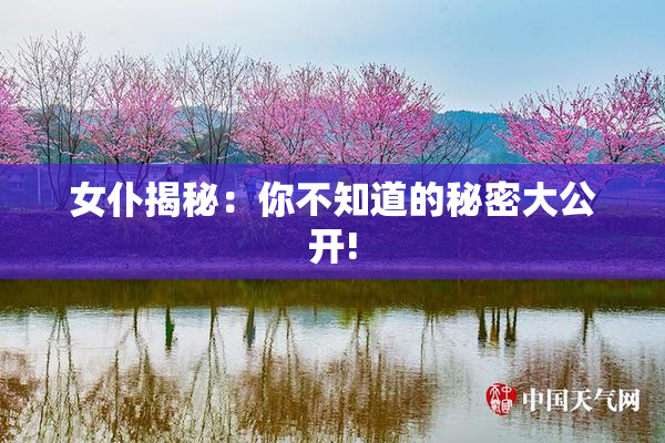 女仆揭秘：你不知道的秘密大公开!