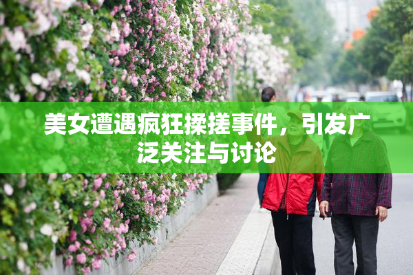 美女遭遇疯狂揉搓事件，引发广泛关注与讨论
