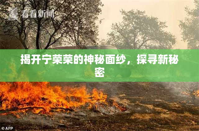 揭开宁荣荣的神秘面纱，探寻新秘密