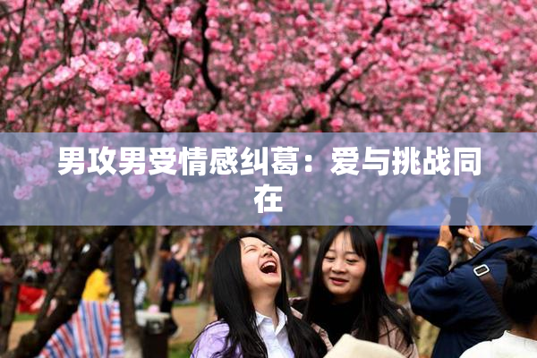 男攻男受情感纠葛：爱与挑战同在
