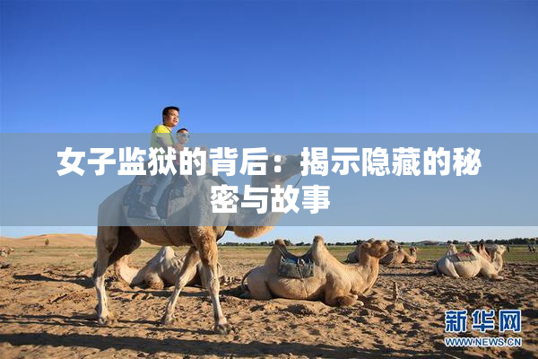 女子监狱的背后：揭示隐藏的秘密与故事