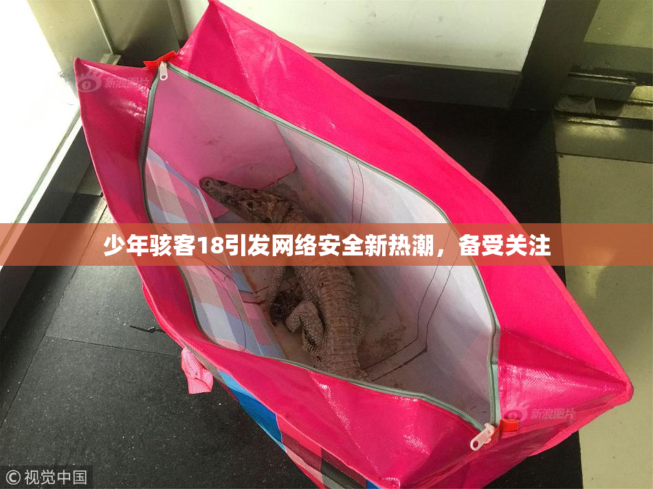 少年骇客18引发网络安全新热潮，备受关注