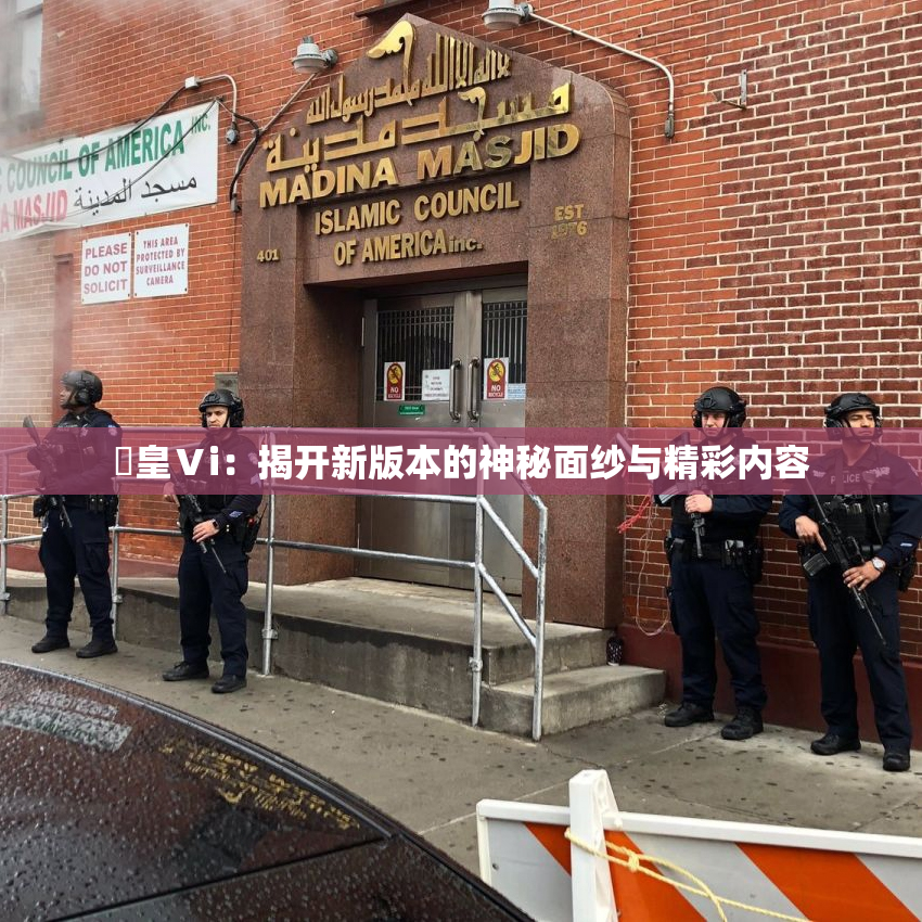 嘼皇Ⅴi：揭开新版本的神秘面纱与精彩内容