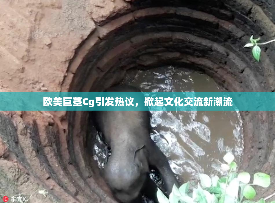 欧美巨茎Cg引发热议，掀起文化交流新潮流