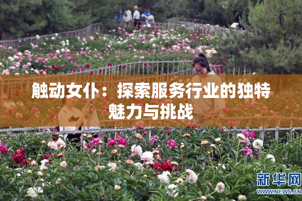 触动女仆：探索服务行业的独特魅力与挑战