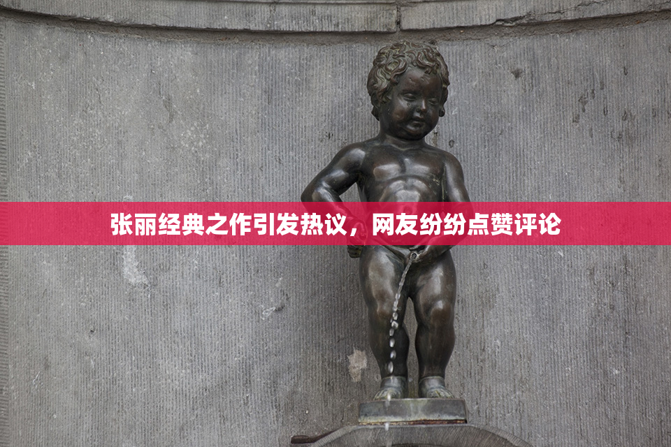张丽经典之作引发热议，网友纷纷点赞评论