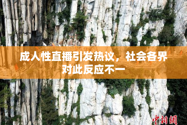 成人性直播引发热议，社会各界对此反应不一