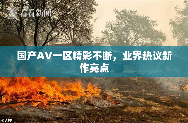 国产AV一区精彩不断，业界热议新作亮点