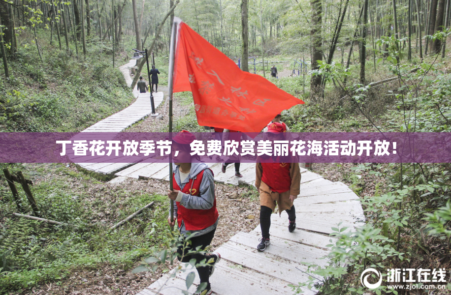 丁香花开放季节，免费欣赏美丽花海活动开放！