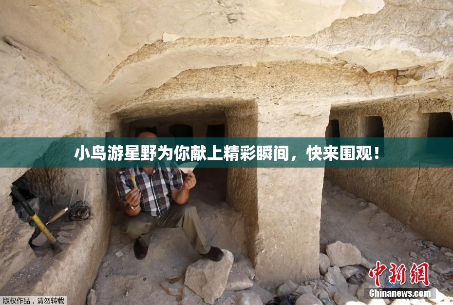 小鸟游星野为你献上精彩瞬间，快来围观！