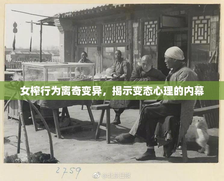 女榨行为离奇变异，揭示变态心理的内幕