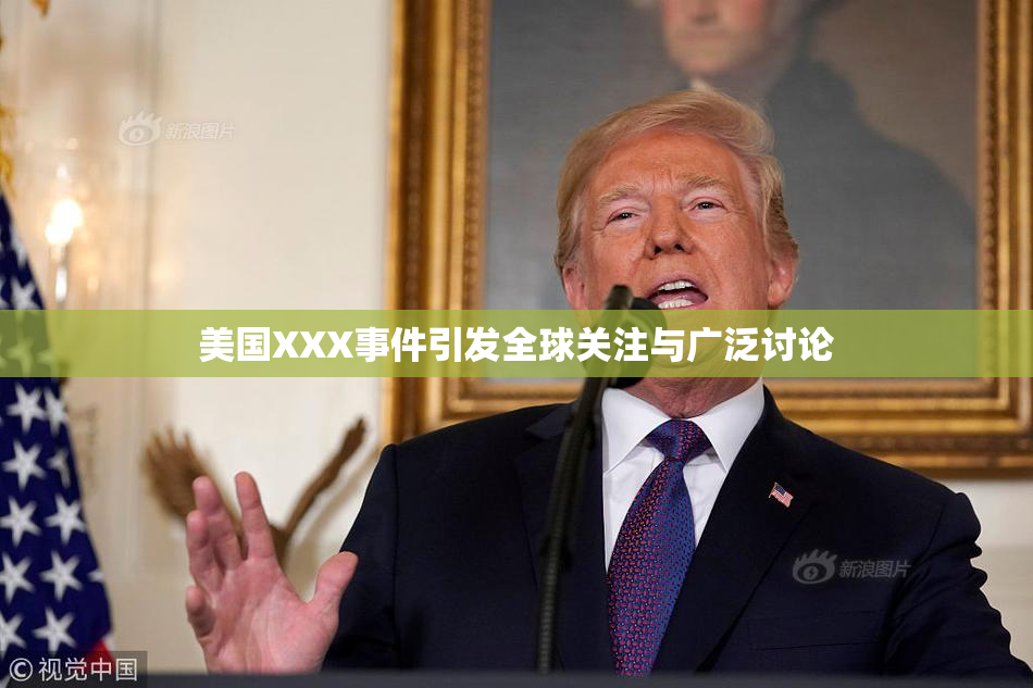 美国XXX事件引发全球关注与广泛讨论