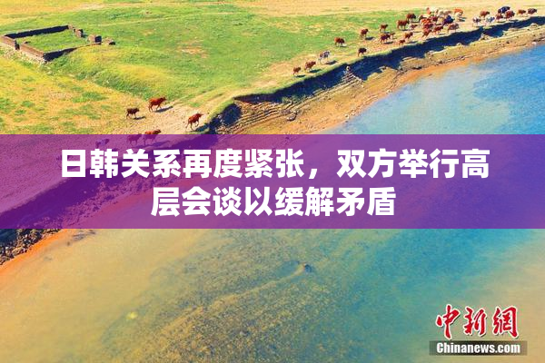日韩关系再度紧张，双方举行高层会谈以缓解矛盾