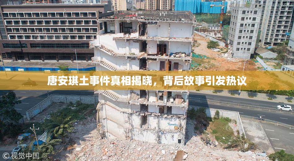 唐安琪土事件真相揭晓，背后故事引发热议