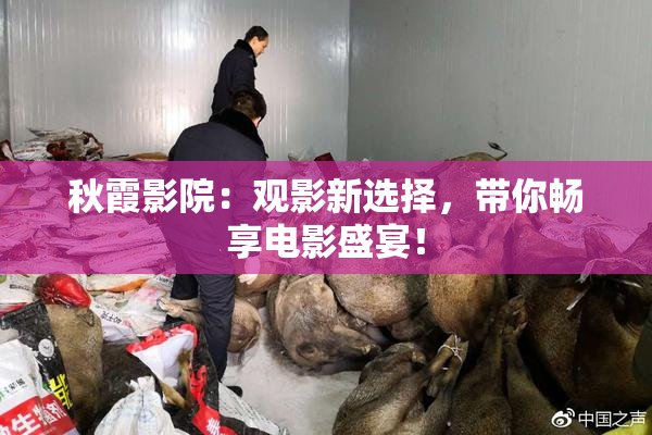 秋霞影院：观影新选择，带你畅享电影盛宴！