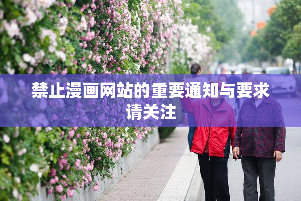 禁止漫画网站的重要通知与要求请关注