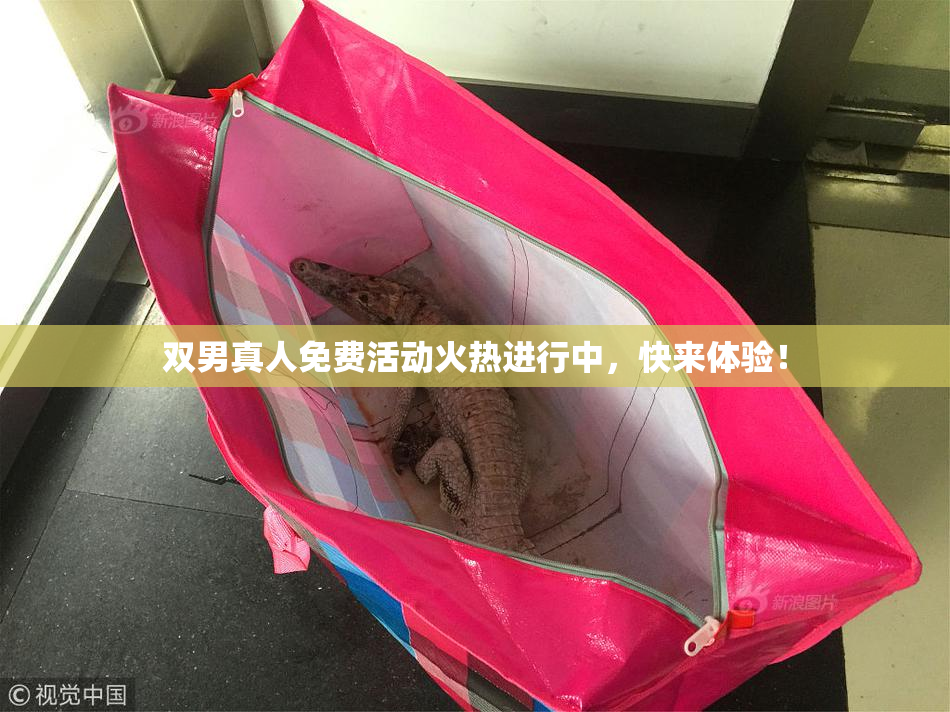 双男真人免费活动火热进行中，快来体验！