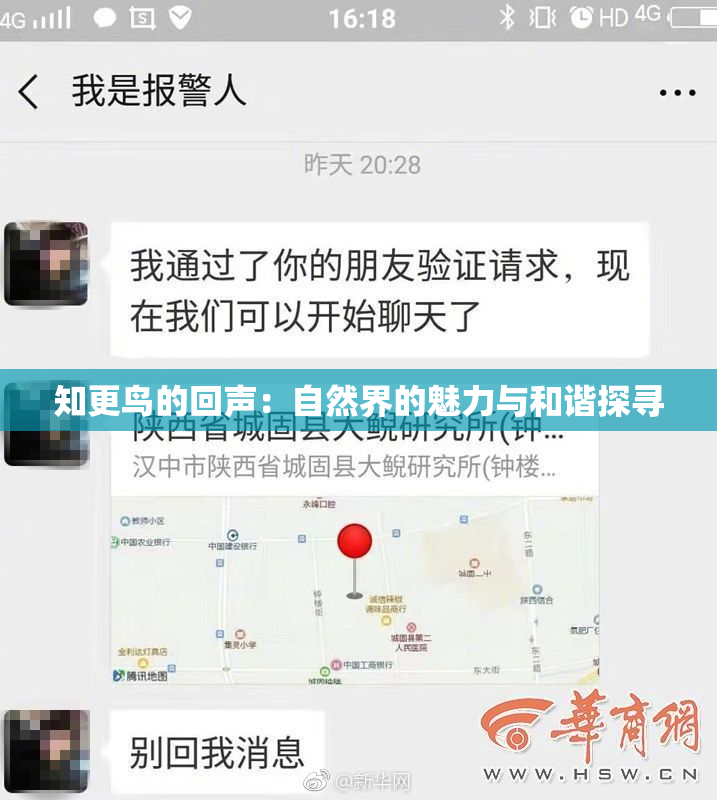 知更鸟的回声：自然界的魅力与和谐探寻