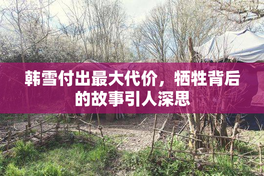韩雪付出最大代价，牺牲背后的故事引人深思