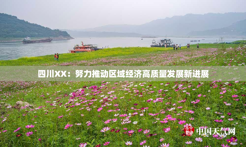 四川XX：努力推动区域经济高质量发展新进展