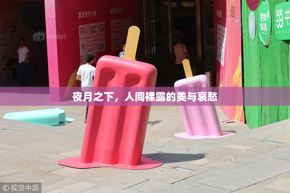 夜月之下，人间裸露的美与哀愁
