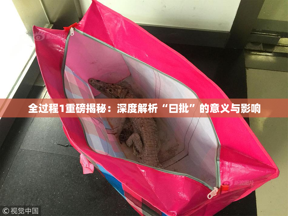全过程1重磅揭秘：深度解析“曰批”的意义与影响