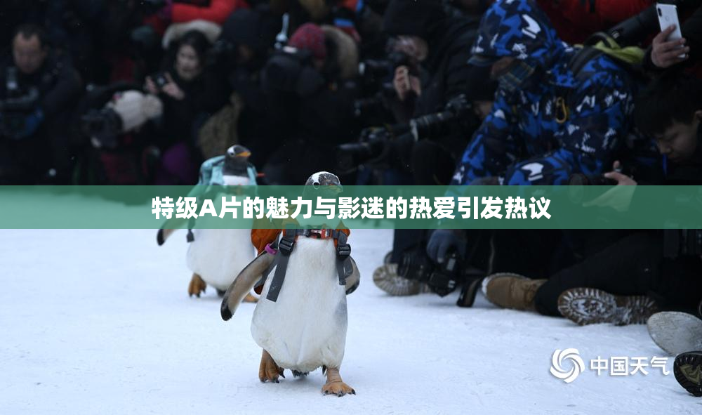 特级A片的魅力与影迷的热爱引发热议