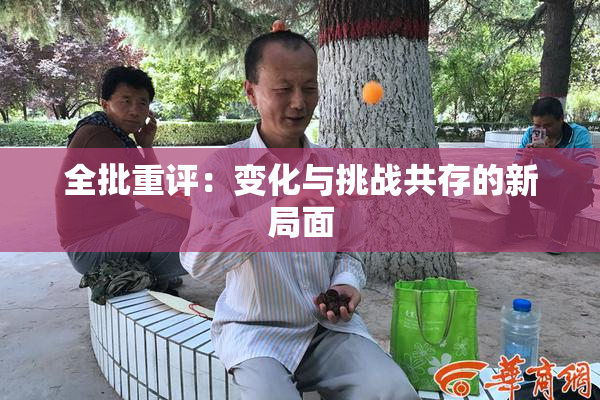 全批重评：变化与挑战共存的新局面