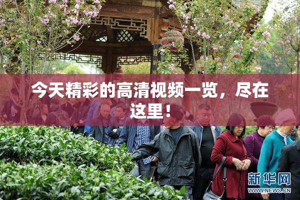 今天精彩的高清视频一览，尽在这里！