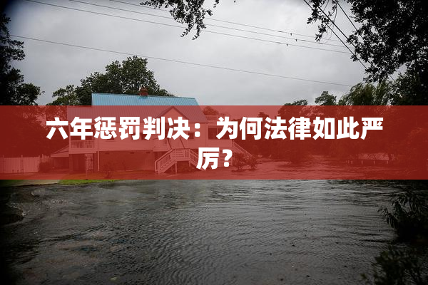 六年惩罚判决：为何法律如此严厉？