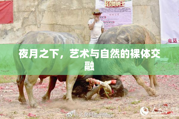 夜月之下，艺术与自然的裸体交融