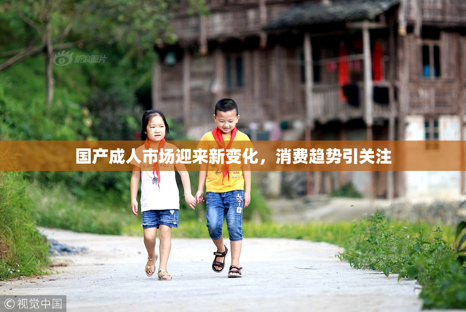 国产成人市场迎来新变化，消费趋势引关注