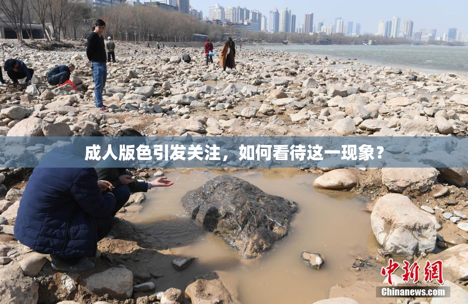 成人版色引发关注，如何看待这一现象？
