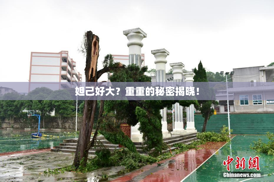 妲己好大？重重的秘密揭晓！