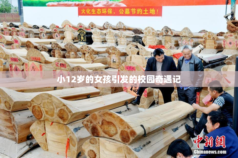 小12岁的女孩引发的校园奇遇记
