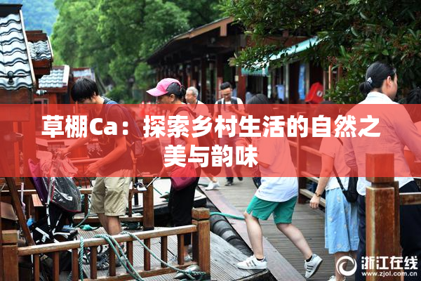 草棚Ca：探索乡村生活的自然之美与韵味