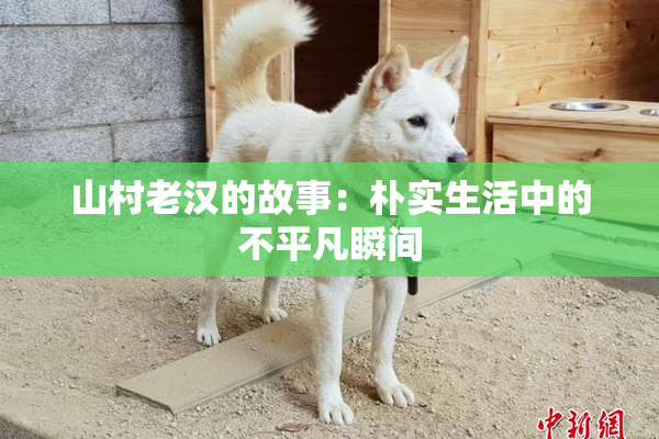 山村老汉的故事：朴实生活中的不平凡瞬间